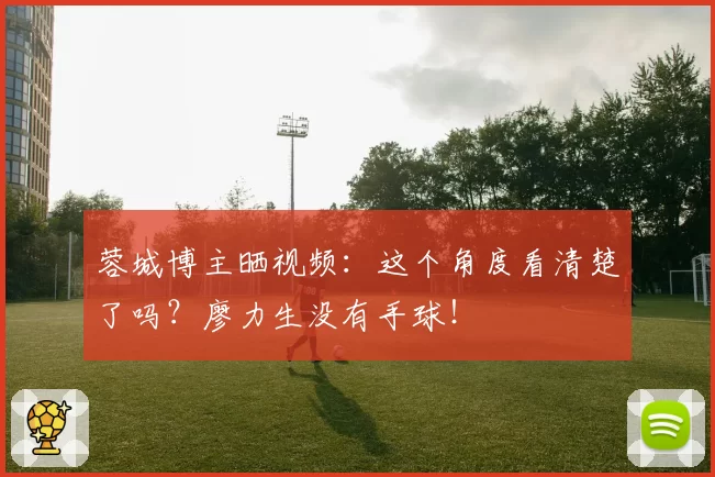 蓉城博主晒视频:这个角度看清楚了吗?廖力生没有手球!